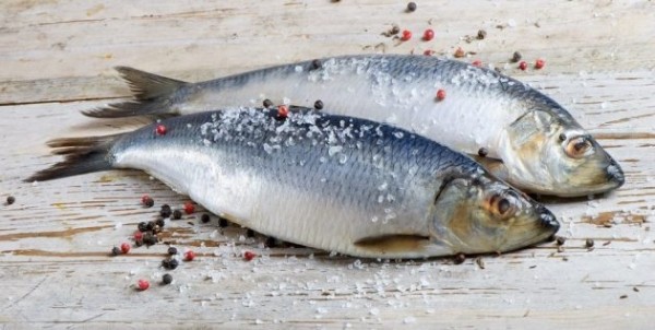 
            8 способов быстро и вкусно засолить селёдку        