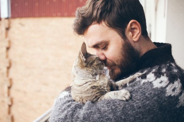Любители кошек и собак могут отличаться количеством и характером