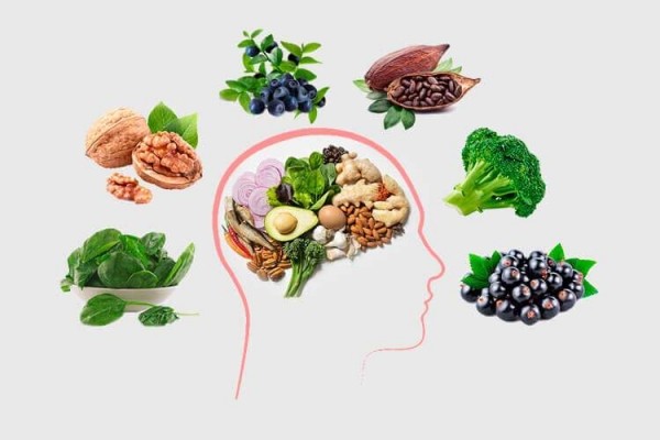 Продукты питания, которые полезны для мозга человека и укрепляют память