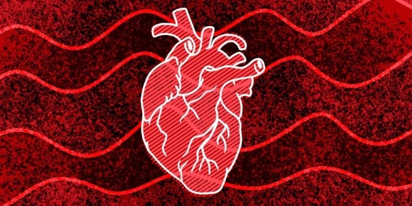 
            11 признаков того, что у вас может случиться остановка сердца        