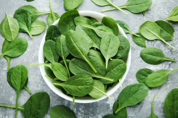 Продукты питания, которые полезны для мозга человека и укрепляют память