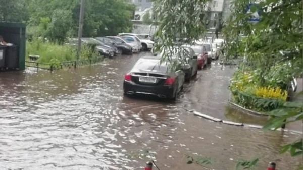 Заморозки в Подмосковье в июне 2021 года могут сменяться другой напастью